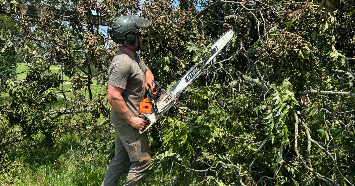 FLS Tree Service trimming tall overgrown shrubs in a front yard in Buford, GA