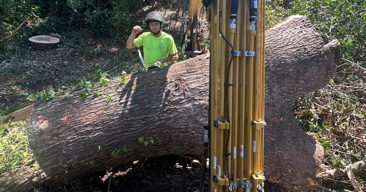 Tree Removal in Northeast Georgia | FLS Tree Service