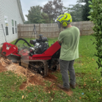 Stump Grinding & Removal